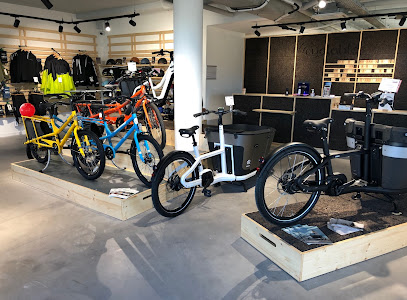 Intérieur magasin de vélos Bordeaux Mérignac