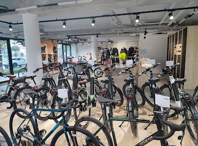Intérieur magasin de vélos Bordeaux Mérignac