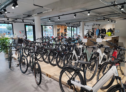Intérieur magasin de vélos Bordeaux Mérignac