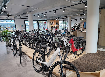 Intérieur magasin de vélos Bordeaux Mérignac